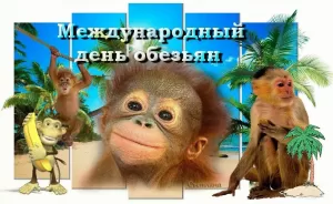 Подробнее о статье Открытки на Международный день обезьян (64 картинки)