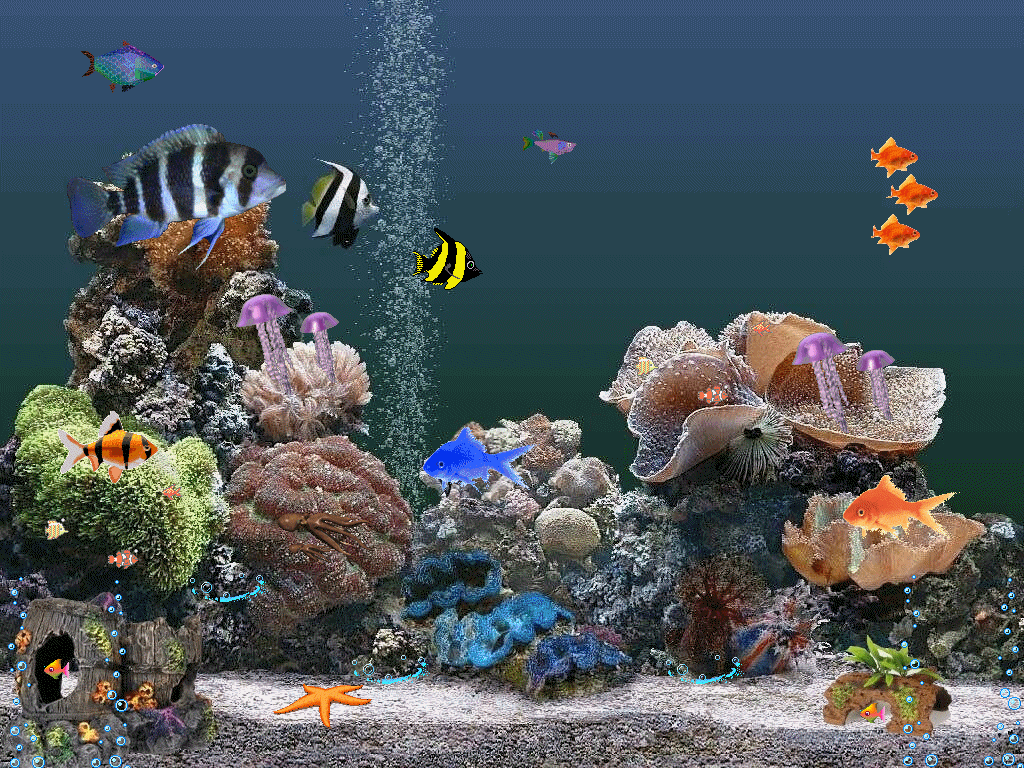 Живые рыбки. Живой аквариум. Аквариум 3д. Скринсейвер рыбки.